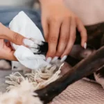 Basic Dog Care Tips: What to Focus on During Your Dog’s First 30 Days at Home