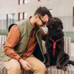Essential Bathing Tips: Safe and Stress-Free Ways to Bathe Your Dog at Home