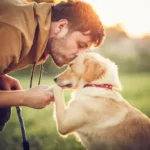 Essential Bathing Tools for Dogs: A Simple, Stress-Free Guide to Home Hygiene