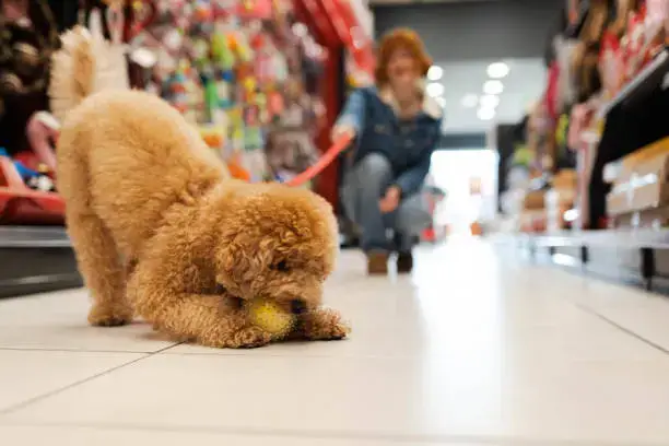Daily Cleaning Routine