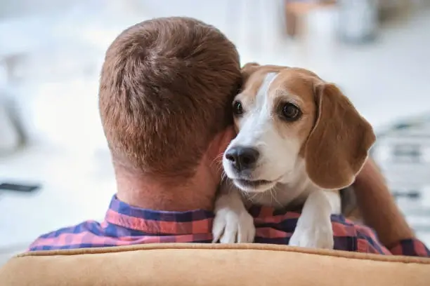 A busy dog owner preparing quick and nutritious meals for their dog, demonstrating easy dog care for busy owners