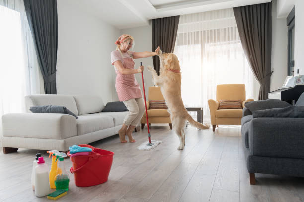 Dog Hygiene at Home