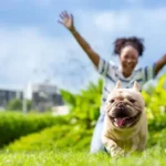 The Essential Guide to Ear Hair Removal for Dogs: Simple Steps for Safe Grooming