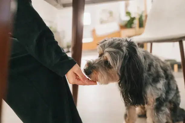 Emergency Preparedness