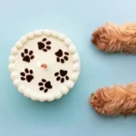 Simple and Essential Feeding Frequency Tips to Keep Your Dog Healthy and Energetic