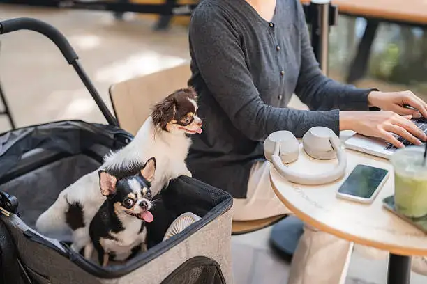 Grooming Mistakes to Avoid