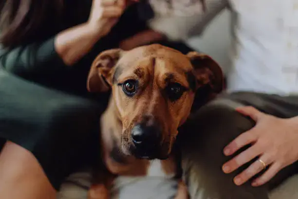 Grooming Safety Tips