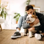 Essential & Stress-Free Grooming for Long Coats: A Practical Home Care Guide for Long-Haired Dogs