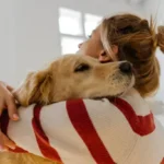 The Ultimate Guide to Stress-Free Grooming for Short-Coated Dogs: A DVM-Approved Approach