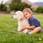 The Essential Guide to Midday Check ins for a Healthy and Happy Dog
