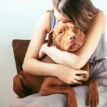Proven Puppy Daily Routine Tips to Raise a Healthy and Happy Puppy