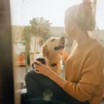 Essential Safe Play Areas for Pets: Design Indoor and Outdoor Spaces
