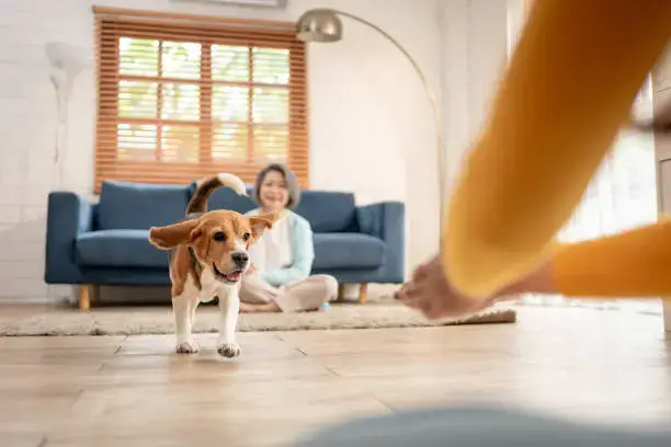 Socialization Strategies