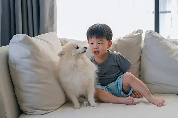 Socialization Strategies