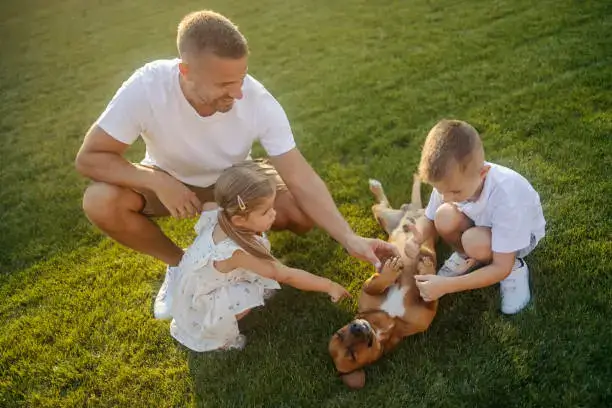Toothpaste Selection