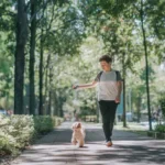 Proven Training Schedules for Dogs: Easy Ways to Maintain Consistency and Boost Learning