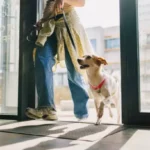 The Essential Weekend Dog Care Routine: Simple Steps for a Happy and Healthy Pup