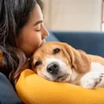Essential Weekly Health Check: Proven Steps to Monitor Your Dog’s Well-Being