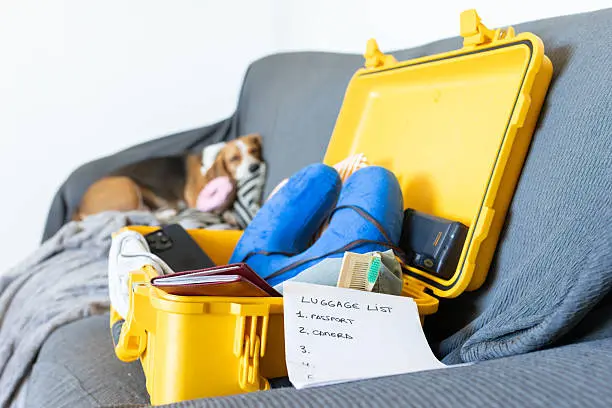 A printed checklist for dog care for busy owners, summarizing meals, exercise, grooming, and travel