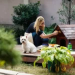 Complete Guide to Dog Care at Home