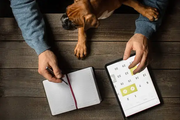 Dog owner monitoring and tracking dog behavior at home to identify patterns and improve training routines