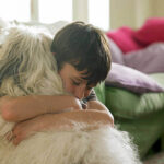 Essential Allergy Season Grooming for Dogs: Reduce Allergens and Keep Your Pet Comfortable
