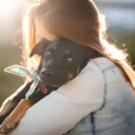 Proven and Practical Anxiety Reducing Techniques to Calm Anxious Dogs