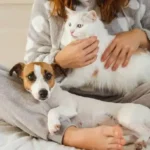 Simple Bathing Safety for Dogs: Essential Tips to Avoid Common Mistakes