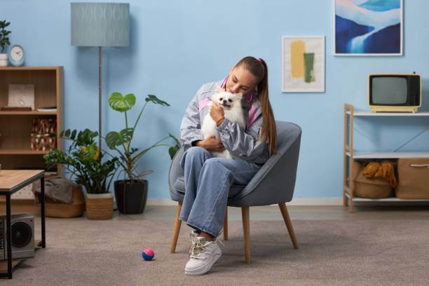 Brain Games for Dogs