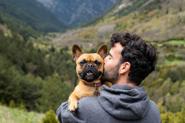 Brain Games for Dogs