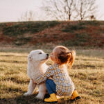 Essential Brain Stimulation Tools to Keep Your Dog Mentally Sharp