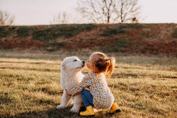 Brain stimulation tools