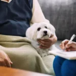 Essential Coat Deodorizing Techniques for Dogs: Practical Tips to Keep Your Dog Fresh and Clean