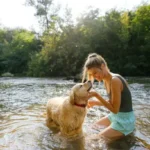 Coat Inspection: Essential Steps to Spot Dryness and Maintain Healthy Fur