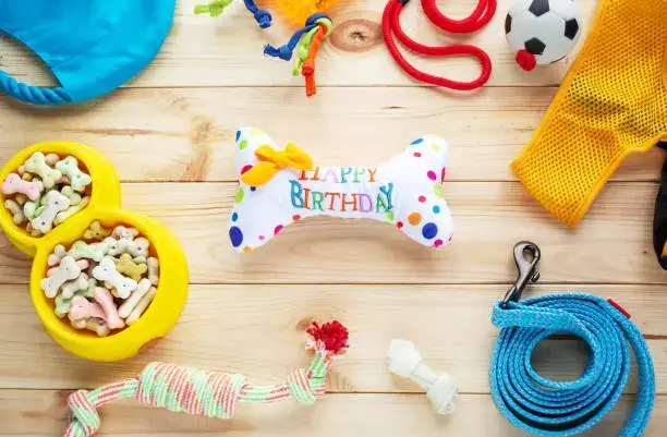 Collection of homemade dog toys made from household materials like cloth and cardboard