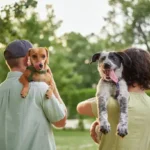 Daily Hygiene Checklist for Dogs: Proven Brushing, Bathing, and Dental Care Tips