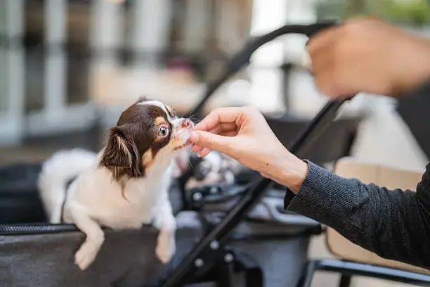 Ear Infection Prevention