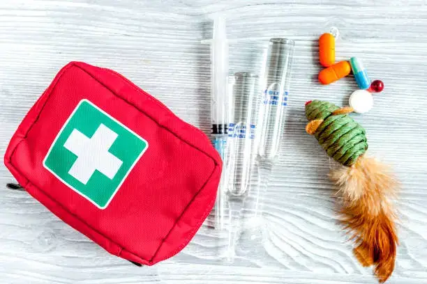 Emergency Kit Checklist for Dogs