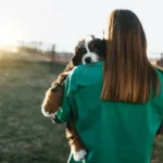 Essential Feeding Tools: Smart, Practical Choices to Improve Daily Dog Feeding