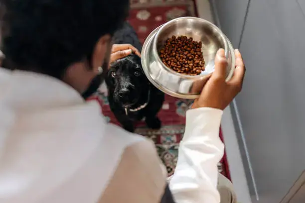 Fur Removal Techniques