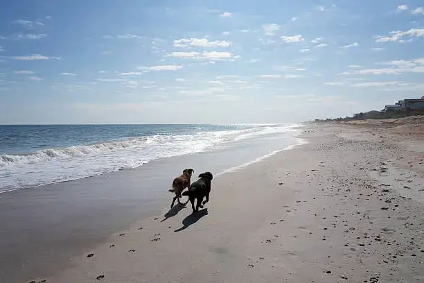 Handling Aggressive Behavior