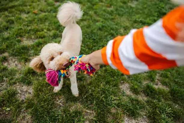 Hygiene Supplies Checklist