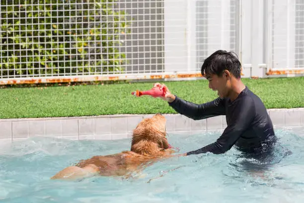 Cleaning dog chew toys with warm water and mild soap