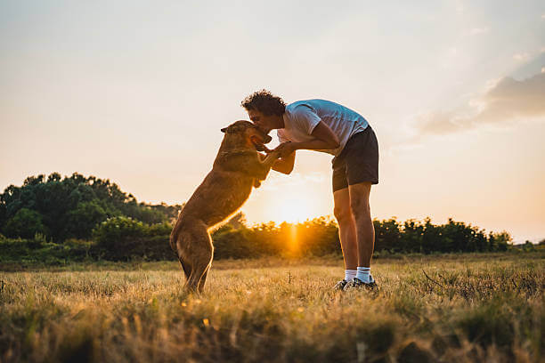 Interactive Feeding Toys