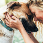 Essential Interactive Games to Keep Your Dog Mentally Active at Home