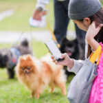 Proven Ways to Make Learning New Tricks Easy and Fun for Your Dog