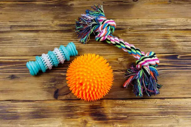 Different types of dog mental challenge toys, including puzzle toys, treat-dispensing toys, and DIY enrichment items