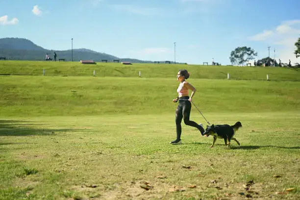 Dog playing with interactive puzzle toy for mental stimulation