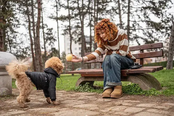 Owner guiding a dog through daily enrichment routine using treats