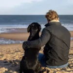 Essential Nail Care Schedule to Avoid Overgrown Nails in Dogs